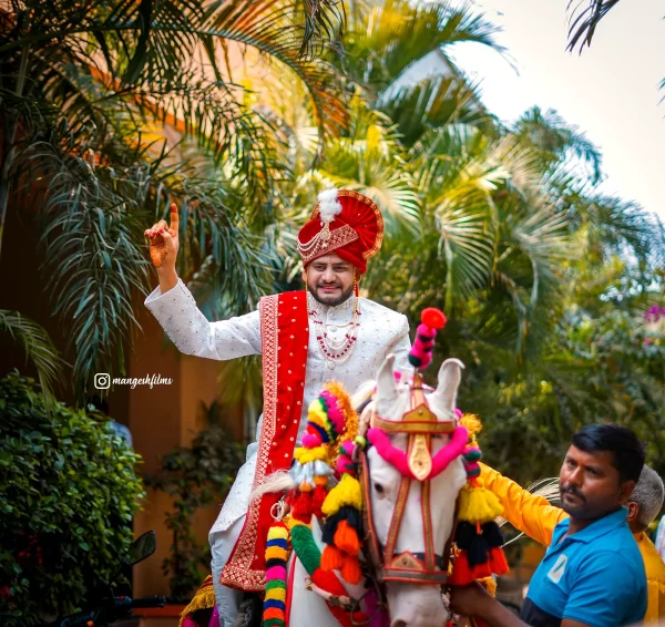 Groom ready for Baraat on horse, candid click